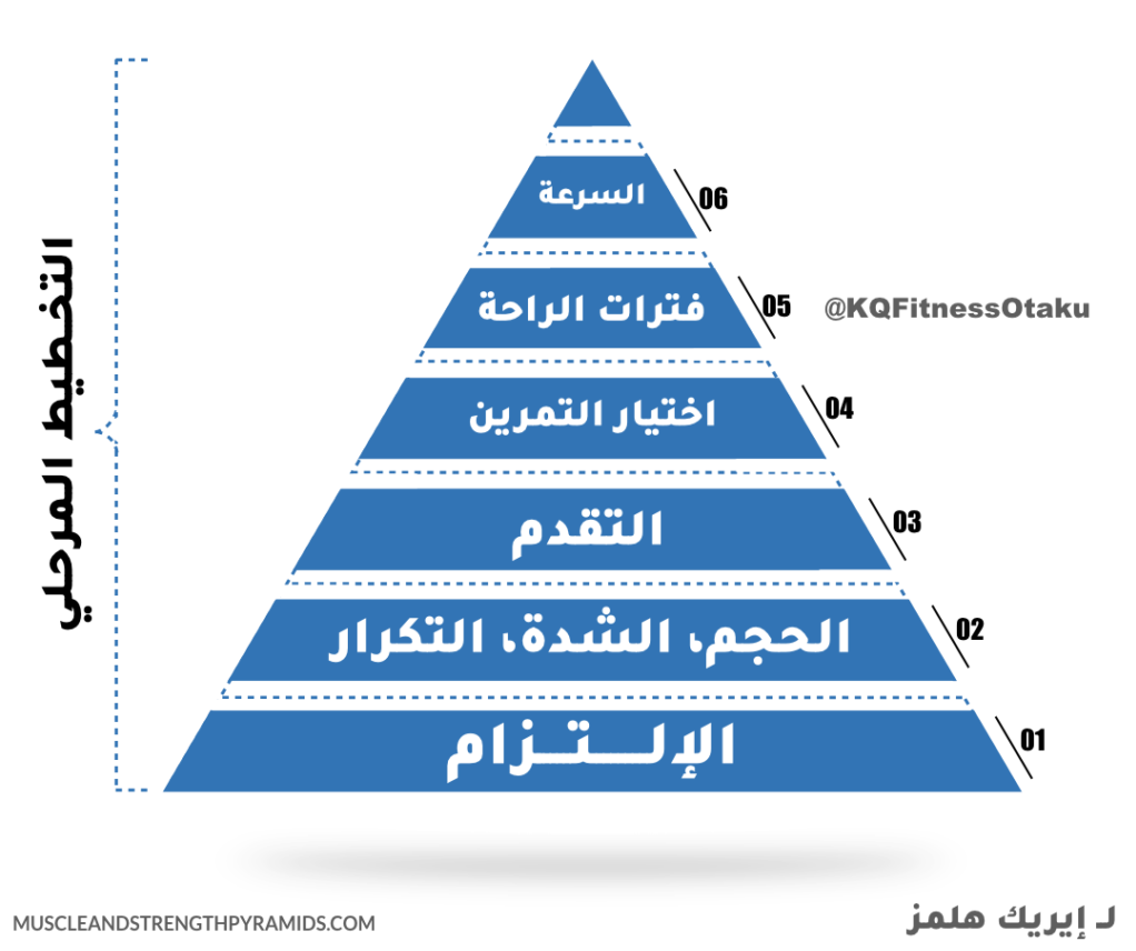 صورة الهرم التدريبي للعضلات والقوة